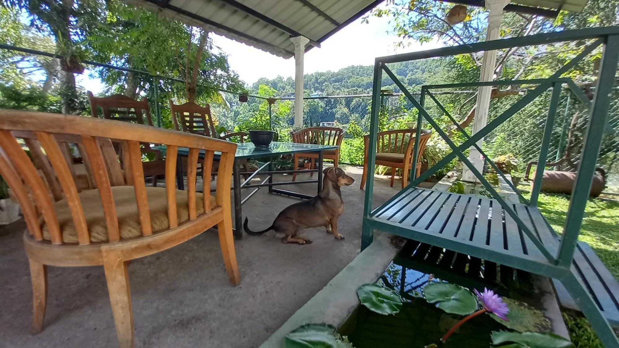 Mahaweli Shades Hotel Kandy Exterior photo