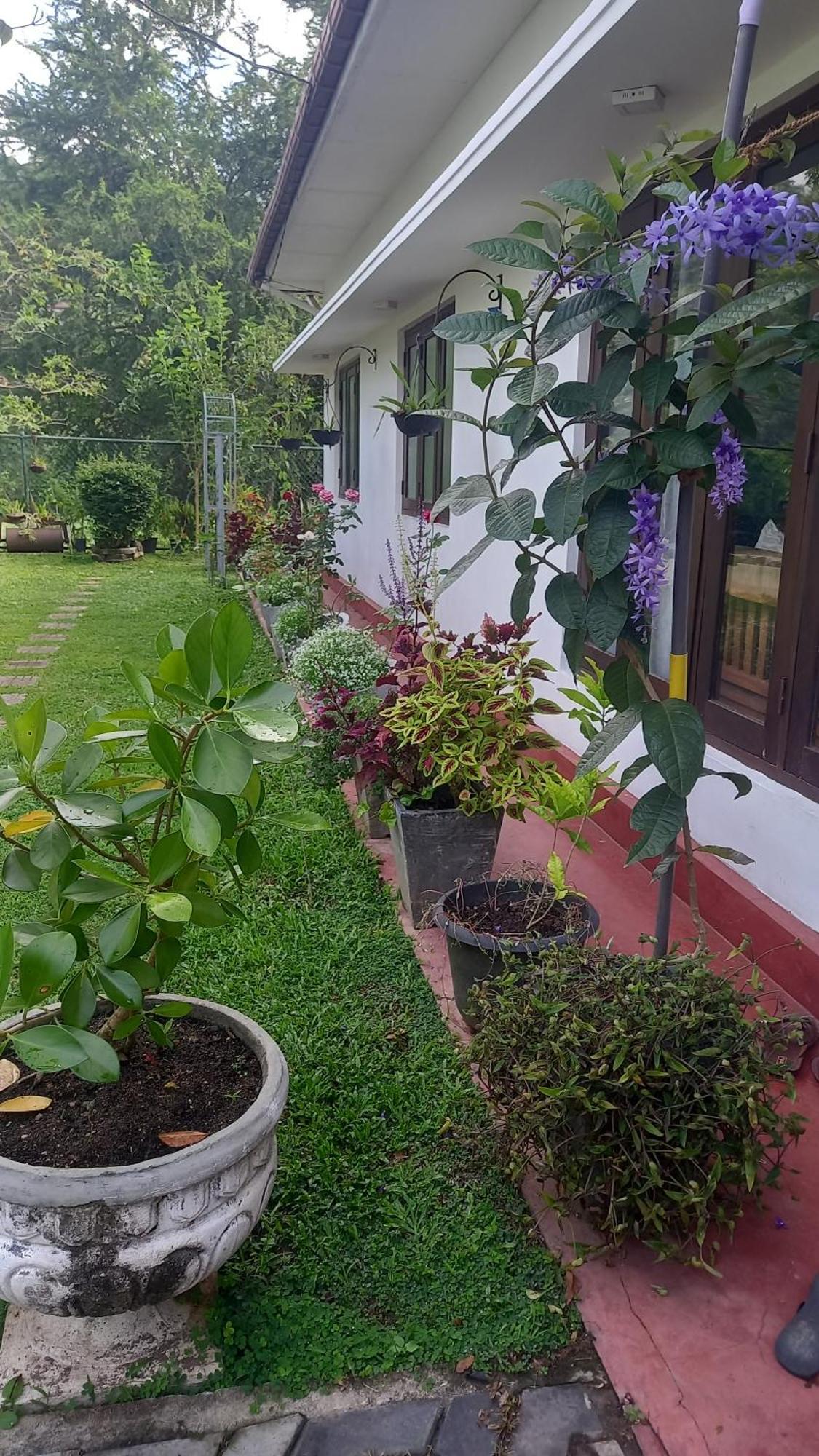 Mahaweli Shades Hotel Kandy Exterior photo